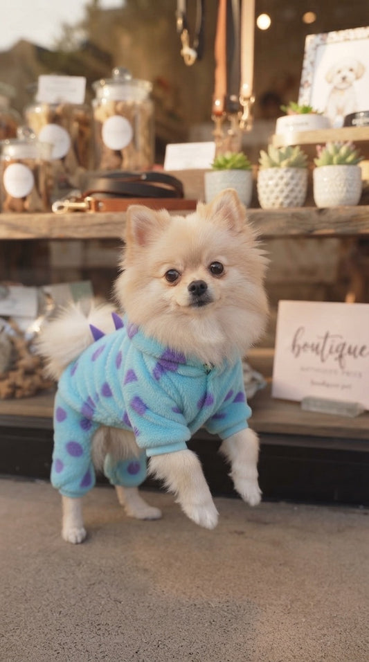 Dinosaur costume for dog